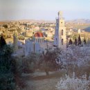 베다니교회 이미지