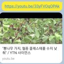오송오디로체험관광농원