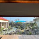 하귤스테이 이미지