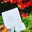 디자인밀 이미지