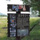 군청 메타세콰이어길 이미지