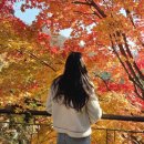 모노러브 | 화담숲 취소표 줍줍 성공, 모노레일 없이도 가능할까?