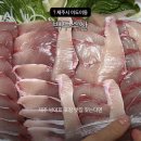 제주회수산 | 방어회 5만원 실화? 제주시청 백두수산 회포장 후기