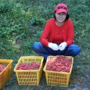 호반농장 이미지