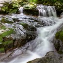 태안사계곡 이미지