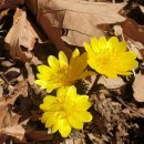 내태2리 이미지