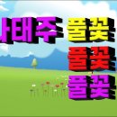 풀꽃3