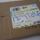 나인페츠 이미지