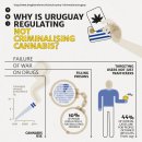 [1/3] Marijuana Legalization depending on individual countries should be accepted 이미지