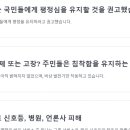 [일반] 스페인 게이다 유럽 대형 정전남 이미지
