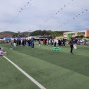 삼가초등학교 이미지