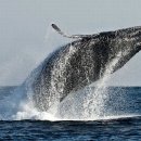 깊이 모를 슬픔 이미지