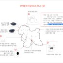 이정민애견미용학원