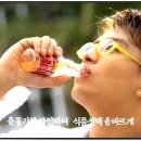 마이빈 이미지
