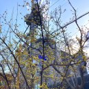 노원-공릉-3296 이미지