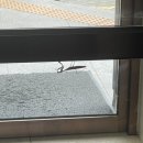 구월1동-22 | 하츄핑 팝업스토어, 두바이초콜릿 파는곳, 두바이 통통이 쿠키 후기, 구월동 맛집 신복관, 슬라임 만들기)
