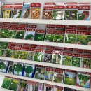 현대종묘사 이미지