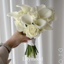 블론디헤어 - 서귀포시 대청로 12 | W13. 대구 웨딩촬영 부케 | 칠성시장 ‘꽃천지’ 예약 가격 촬영 후기