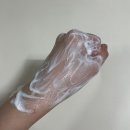 바하시스템