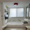 포천 럭스제이 애견펜션 이미지