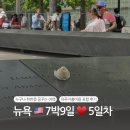 둘리피자메트로 석전점 | 2024년 6월 뉴욕 7박9일 자유여행 일정 먹거리 지출비용 - 5일차 / 덤보,라베이글딜라이트,브루클린...