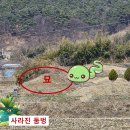 전북 165 전북도민일보