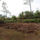 김요한농장 이미지