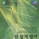 푸른솔문고 이미지