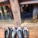 자연을 닮은 소박한 집 이미지