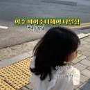바이주니헤어여서동
