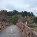 2014105 | 동해 당일치기여행 추암해수욕장 해변 촛대바위
