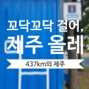 올레길 | 제주올레 11코스 공식안내소 &amp; 여행자센터 방문 후기 | 올레길을 걷고 싶어지게 만든 제주 여행 스팟