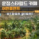 필드스타 PC카페 | 운정 스타필드 카페 어반플랜트 후기 | 내돈내산,위치,식물