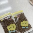 남구-1 | 광주 남구 애견호텔 [차차룸] 이용후기🐶🍎 (1일차)