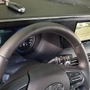 사각지카 이미지