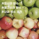 바닐라트래쉬 | [사과향수추천]사과해요, 나한테! 아삭아삭한 매력의 사과 향수 시향기 모음