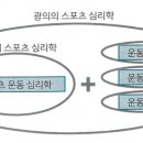 스포츠지도사 2급 - 스포츠심리학 이미지