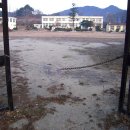 금동초등학교 이미지