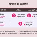 스카이아트 네이버블로그