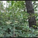 위대한당구장 이미지