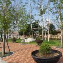 이효석길 이미지