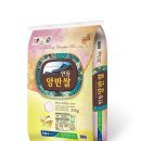 농협양곡(주) 안동라이스센터 | ‘안동양반쌀’, 2019년 경북 6대 우수브랜드 쌀 선정