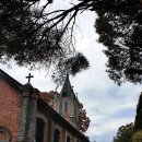 풍수원 성당 이미지