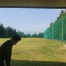 청남골프연습장 이미지