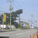 소나무펜션형민박 이미지