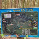 제주 절물자연휴양림,장생의 숲길,절물약수암, 애월 은혜전복,노티드 도넛, 카페 하이앤드 이미지