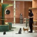 (주)돈앤소 비즈니스워치