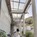 라드라비 | 서울 근교 이천 라드라비 아트 앤 리조트 미술관 조식 청담룸 숙소 후기