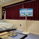 마이애미오렌지 이미지