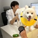 이음동물병원 이미지